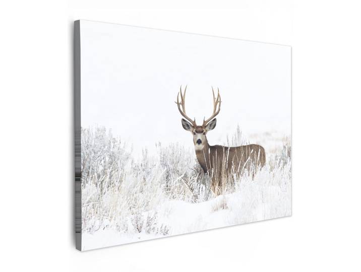 MuchoWow Leinwandbild - Hirsche - Winter - Schnee - Tiere - Jahreszeiten - Weiß - 80x60 - Malerei, Hellbraun, Textil, Kiefer, Abstrakt, Rechteckig, 80x60 cm, gerahmt, Bilder & Rahmen, Bilder, Wandbilder