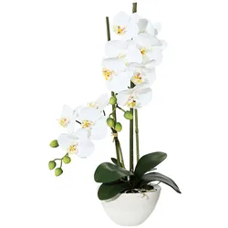 CREATIV green künstliche Pflanze Phalaenopsis, 50cm weiss, in Keramikschale 14,5x8,5cm weiss, Real Touch
