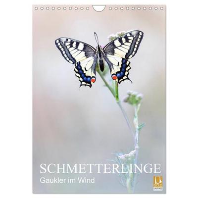 Schmetterlinge - Gaukler im Wind (Wandkalender 2027 DIN A4 hoch), CALVENDO Monatskalender