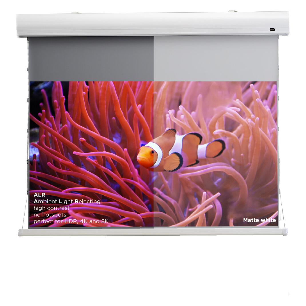 Celexon HomeCinema Motorleinwand Tension 199 x 112 cm, 90 - Dynamic Slate ALR (90", 16:9) (13447)