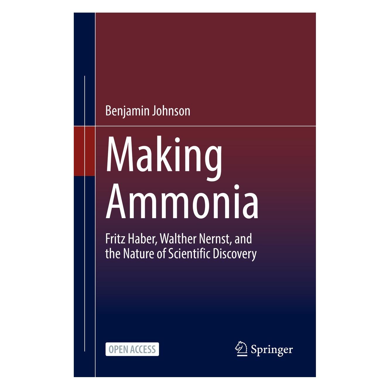 Springer Johnson:Making Ammonia (Englisch, Hardcover, Benjamin Johnson) (9783030855314)
