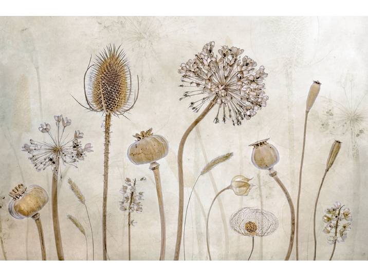 Fototapete PAPERMOON Photo-Art MANDY DISHER, ALT WERDEN , bunt, B:2m L:1,49m, Vlies, Tapeten, Fototapete