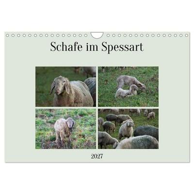 Schafe im Spessart (Wandkalender 2027 DIN A4 quer), CALVENDO Monatskalender