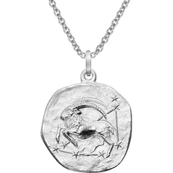 trendor 51610-01 Sternzeichen Steinbock Ø 20 mm und Halskette 925 Silber, 60 cm