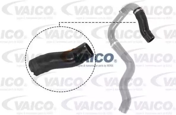 VAICO V24-0732 Charger intake hose