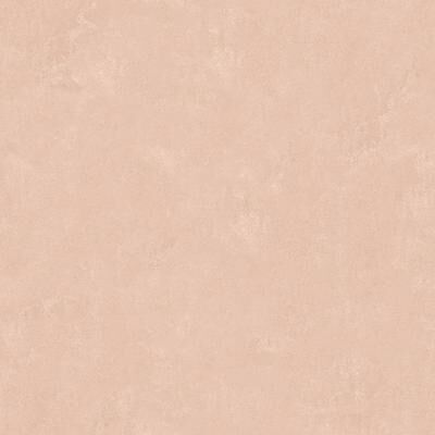 Mr. Kate Daphne Potter's Clay Peach Limewash Peel & Stick Wallpaper
