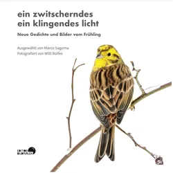 ein zwitscherndes ein klingendes licht, Belletristik von Michael Augustin