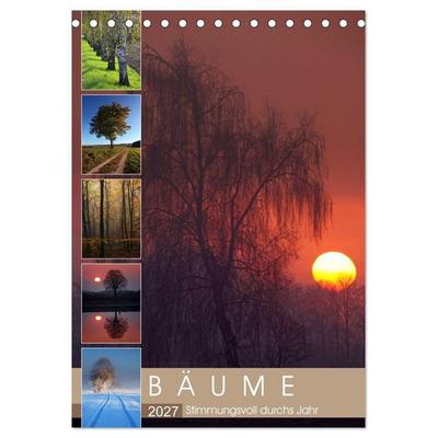 Bäume - Stimmungsvoll durchs Jahr (Tischkalender 2027 DIN A5 hoch), CALVENDO Monatskalender