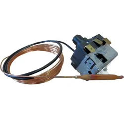 BOSCH Ersatzteil TTNR: 87185825750 STB JUMO 60.2031 V1 everp