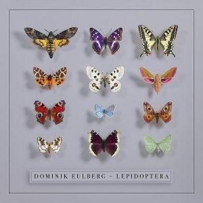 Lepidoptera - Dominik Eulberg, CD