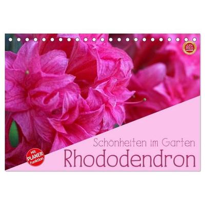 Rhododendron Schönheiten im Garten (Tischkalender 2026 DIN A5 quer), CALVENDO Monatskalender