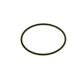 O-Ring 70x3 (2x) - 7101416