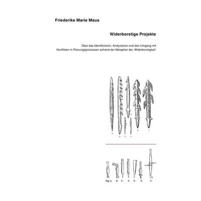 Widerborstige Projekte, Taschenbuch von Friederike Marie Maus, Epubli, 978-3-7375-2921-1