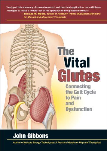 John Gibbons - The Vital Glutes: Connecting the Gait Cycle to Pain and Dysfunction - Preis vom 01.10.2026 17:08:56 h
