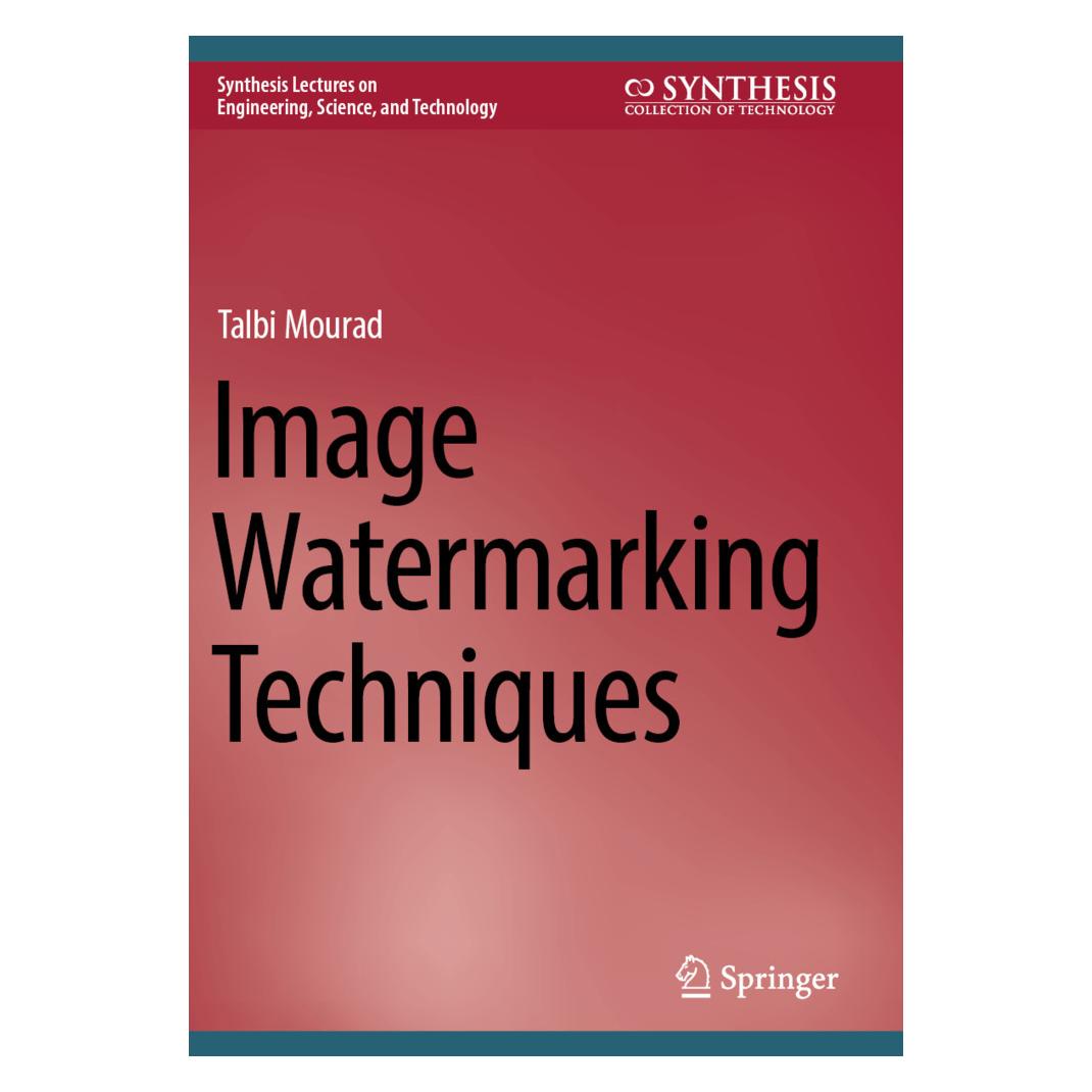 Springer Image Watermarking Techniques (Englisch, Softcover, Talbi Mourad) (57117384)