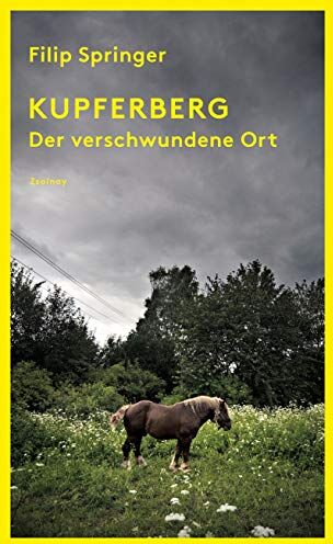 Filip Springer - Kupferberg: Der verschwundene Ort - Preis vom 07.10.2026 11:45:10 h
