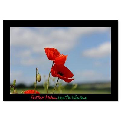 Roter Mohn, bunte Wiesen (Wandkalender 2026 DIN A4 quer), CALVENDO Monatskalender