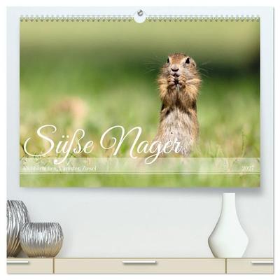 Süße Nager (hochwertiger Premium Wandkalender 2027 DIN A2 quer), Kunstdruck in Hochglanz