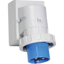 Bals Elektrotechnik 2473 2473 CEE Anbaustecker 16.0 A 3polig 230 V 1 St.