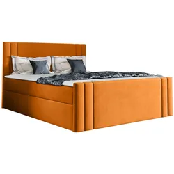 BOXBETT Carmen - H3