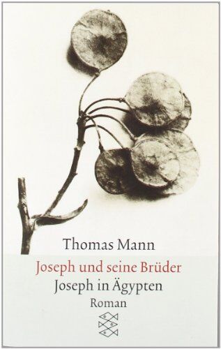 Thomas Mann - Joseph und seine Brüder. Joseph in Ägypten. - Preis vom 02.10.2026 23:42:20 h
