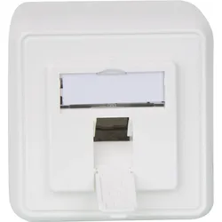 Modul-Aufnahme 80x80, 1-fach AP, alpinweiß 1 Stück