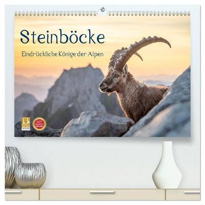 Steinböcke - Eindrückliche Könige der Alpen (hochwertiger Premium Wandkalender 2027 DIN A2 quer), Kunstdruck in Hochglanz