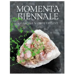 MOMENTA Biennale de l'image, Fachbücher von Jen Bervin, Léuli Eshraghi, Anne-Marie Dubois