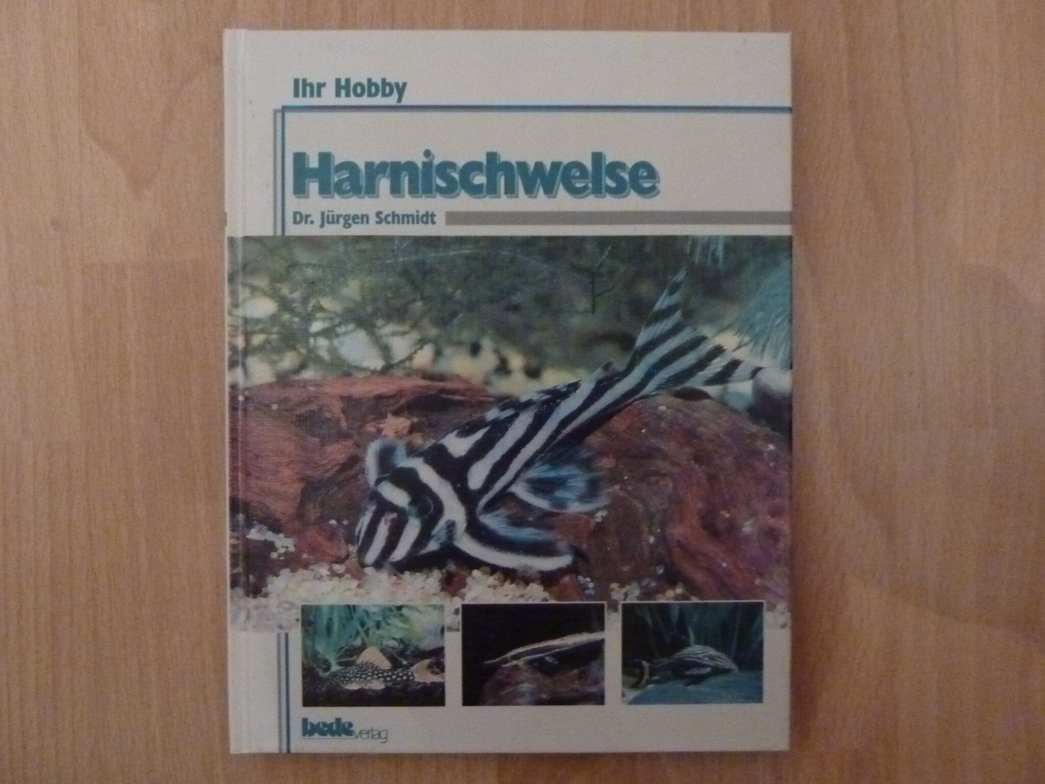 Jürgen Schmidt - Harnischwelse, Ihr Hobby - Preis vom 04.10.2026 03:51:26 h