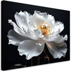 WANDBILD, Große weiße Blume auf schwarzem Hintergrund