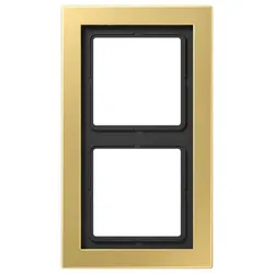 Jung Rahmen 2fach Mess/clas MED 2982 C