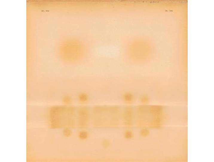 Dr. Dog