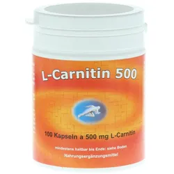 L-carnitin Kapseln 500 mg 100 St
