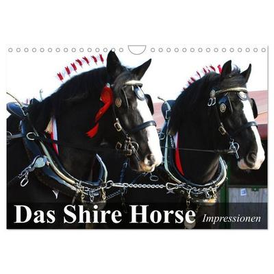 Das Shire Horse. Impressionen (Wandkalender 2027 DIN A4 quer), CALVENDO Monatskalender