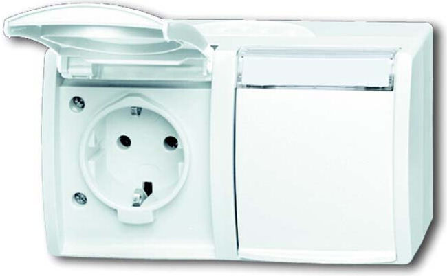Busch-Jaeger Prise double horizontale 20/2 EWN-54 (2CKA002084A0715)