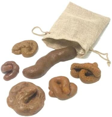 Useful Little Things 6 Pcs Realistic Soft Fake Dog Poop Pranks Gag Joke Party Gift Poo Rubber Simulated Stool Props 6 Pcs
