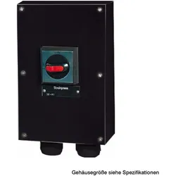 Gifas Electric Anlage/Sicherheitsschalter 256975