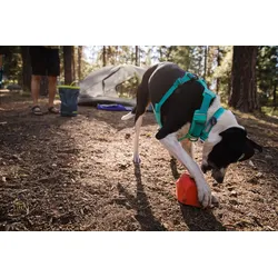 Ruffwear Front Range Halsband  28 - 36 cm aurora teal