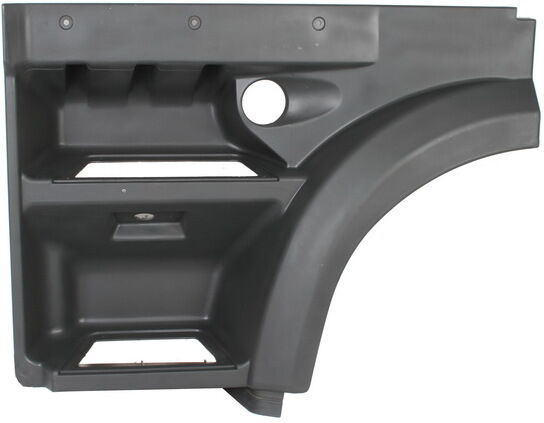 Trittbrett PACOL DAF-FS-001L Links