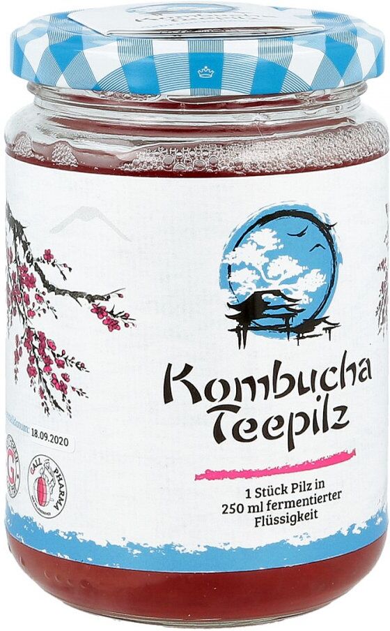 Kombucha Teepilz 1stk