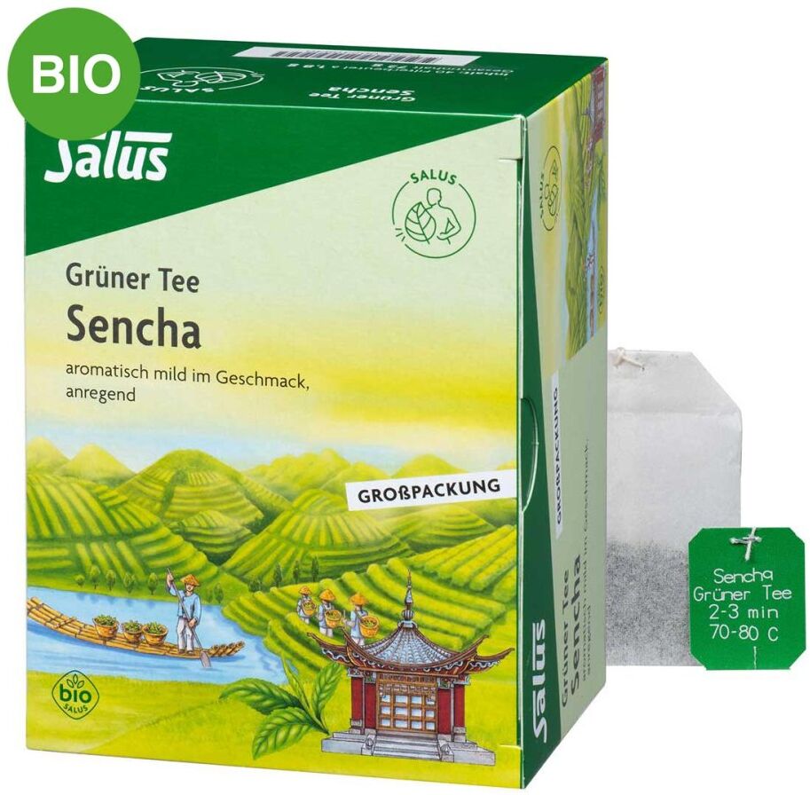 Grüner Tee bio Salus Filterbeutel Grosspackung 40stk