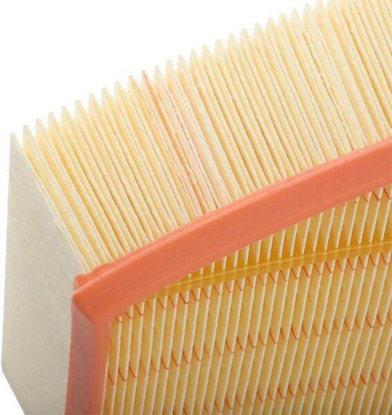 MANN-FILTER C 30 161 Air filter