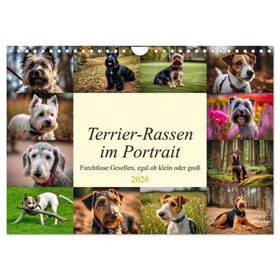 Terrier-Rassen im Portrait (Wandkalender 2026 DIN A4 quer), CALVENDO Monatskalender