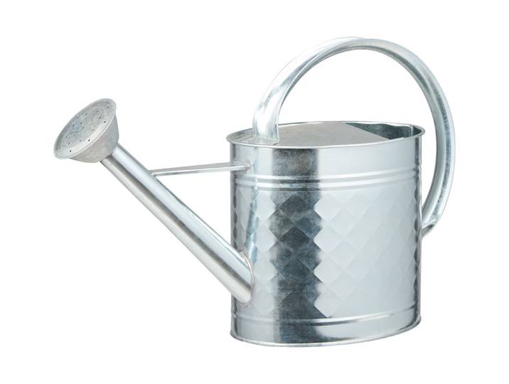 Jardin Royal Giesskanne Zink 4.4L