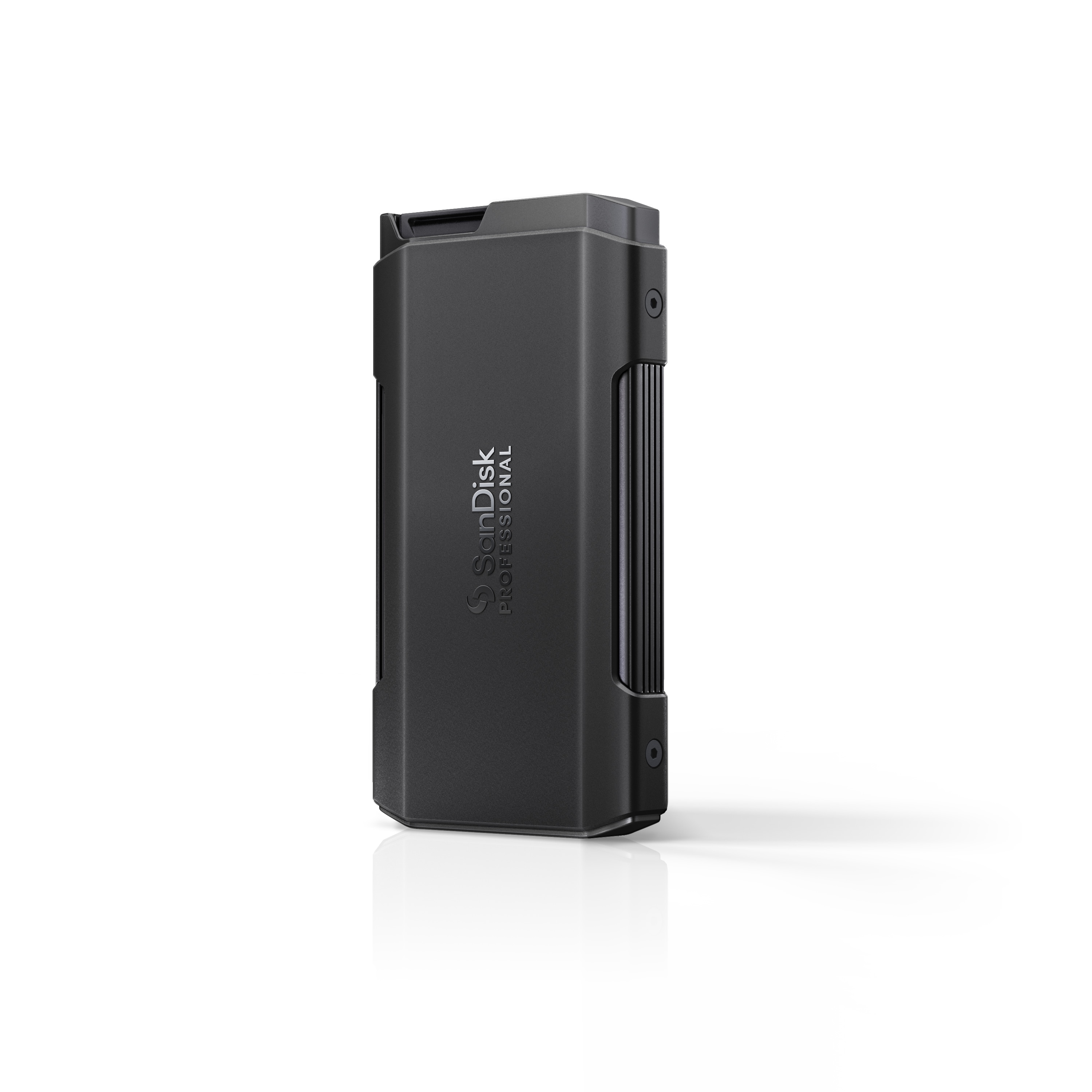 SanDisk PROFESSIONAL PRO-BLADE TRANSPORT 4 TB externe Festplatte (SSD) USB-A