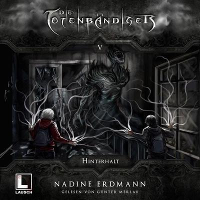 Hinterhalt - Nadine Erdmann, Audio, 4260158975278