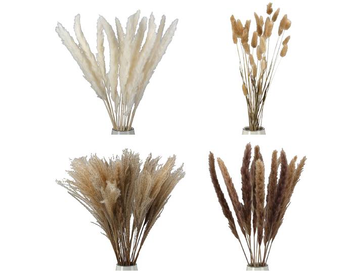 Fleurs séchées Seco 10 x 53 x 10cm