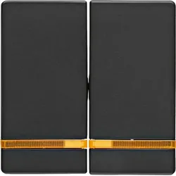 Berker Wippe anthrazit/sa mit Linse 16276086