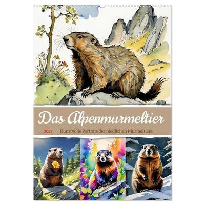 Das Alpenmurmeltier (Wandkalender 2027 DIN A2 hoch), CALVENDO Monatskalender