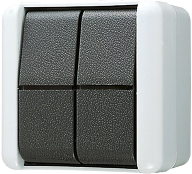 Jung Interrupteur à bascule 10AX 250V double inverseur 809 W (809W)